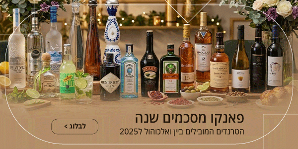 בלוג סיכום שנה